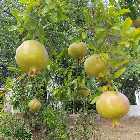 Tra I Due Mari * Oria (Brindisi)