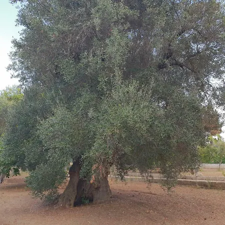 Tra I Due Mari Oria (Brindisi)
